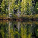 Reflections of Fall in Muskoka: the colours of autumn are mirrored on the water.