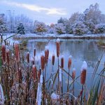 Early Fall Snowfall: snow deocarates the autumn landscape.